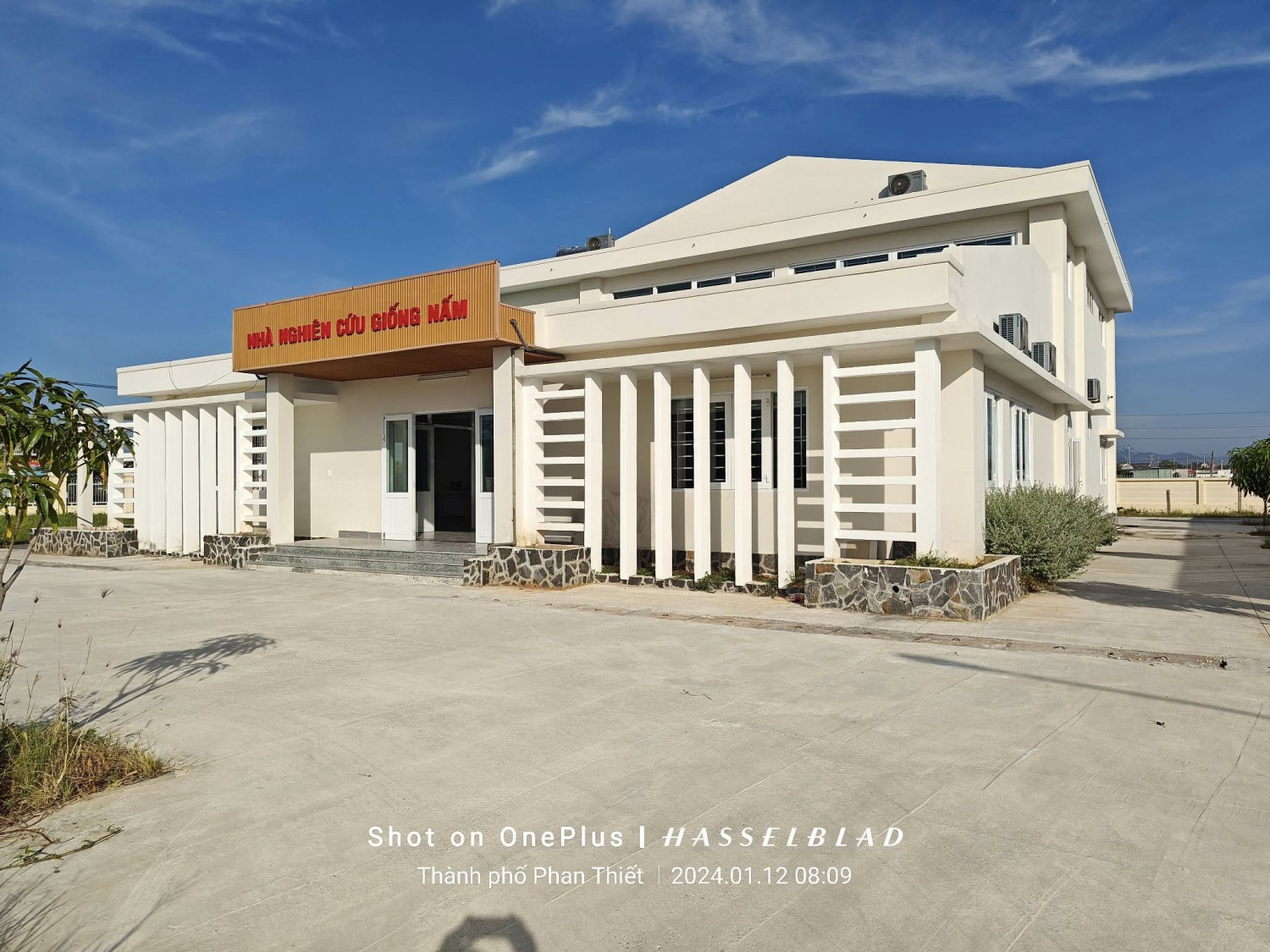 Hoạt động trải nghiệm của học sinh lớp 6 THCS Nguyễn Đình Chiểu