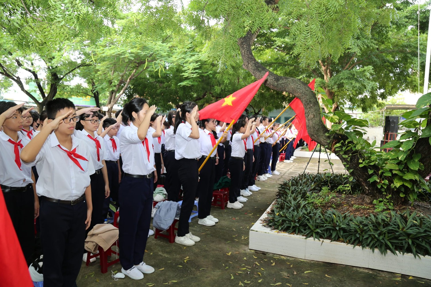 Khai giảng năm học 2024-2025