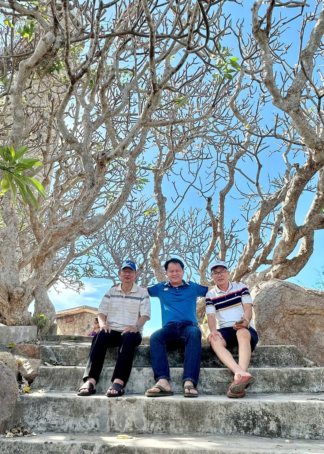 Dã ngoại 8/3/2035