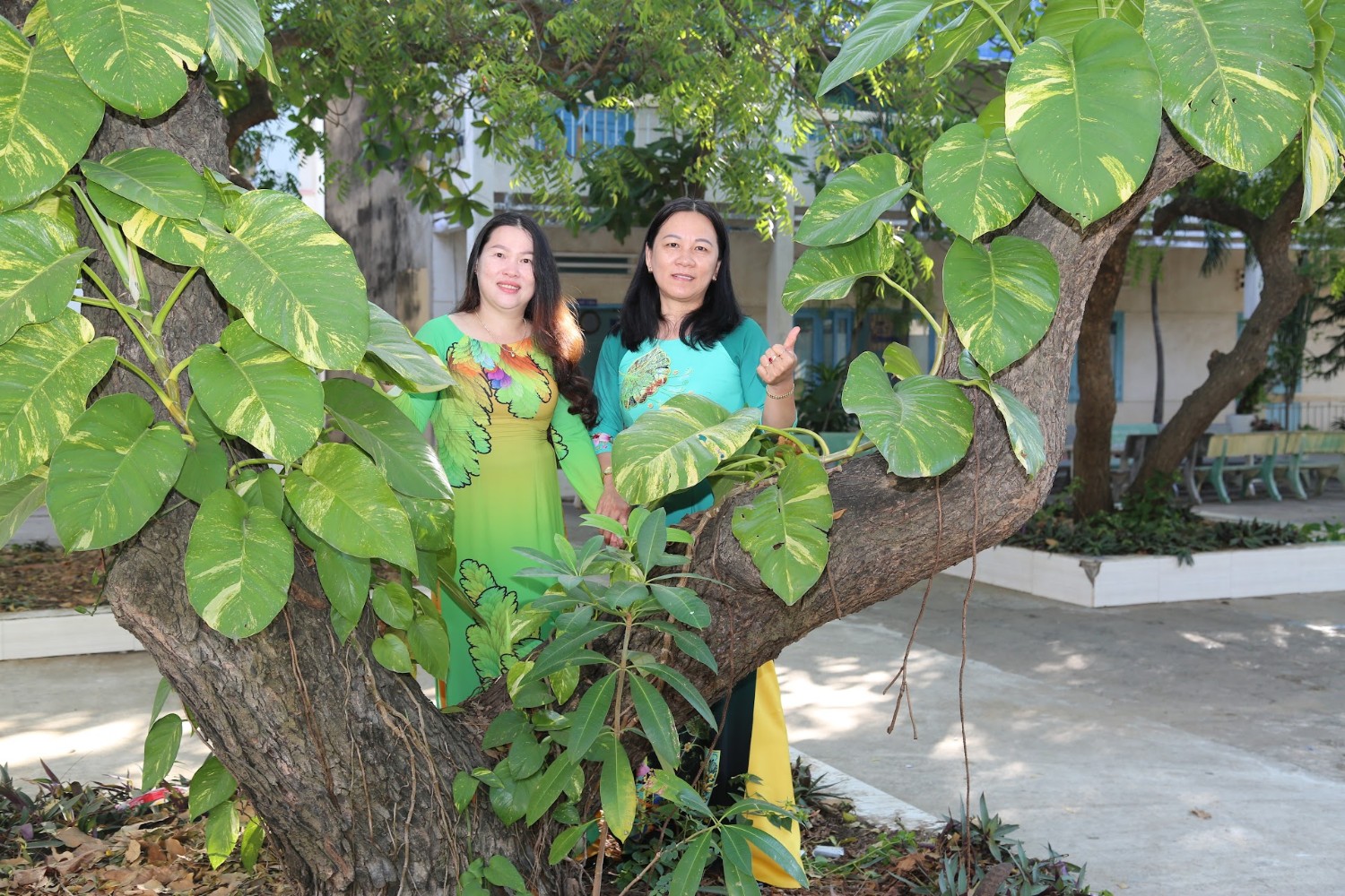 Tuần lễ áo dài